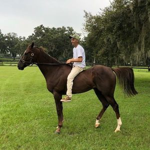 Meet your Posher, Alan